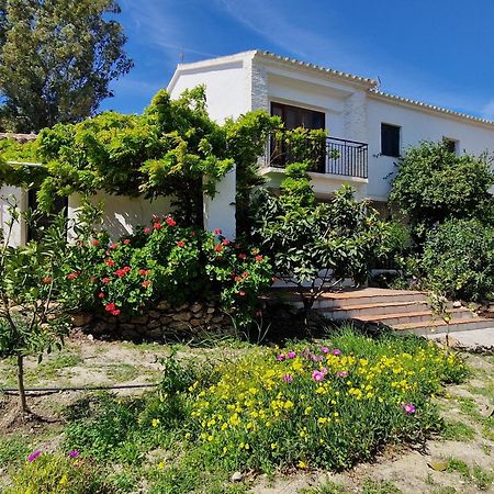 Cortijo Nerja Artist Paradise Exteriér fotografie