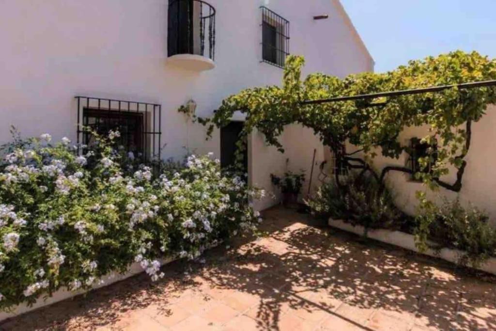 Cortijo Nerja Artist Paradise Exteriér fotografie