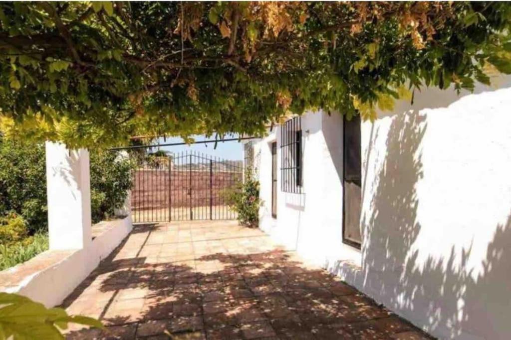 Cortijo Nerja Artist Paradise Exteriér fotografie