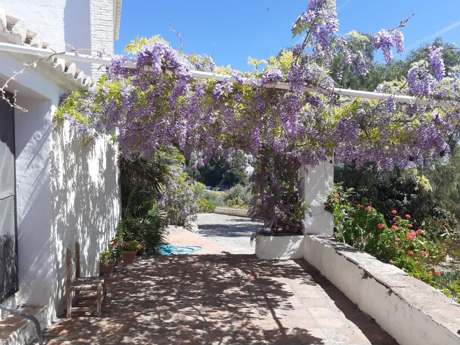 Cortijo Nerja Artist Paradise Exteriér fotografie