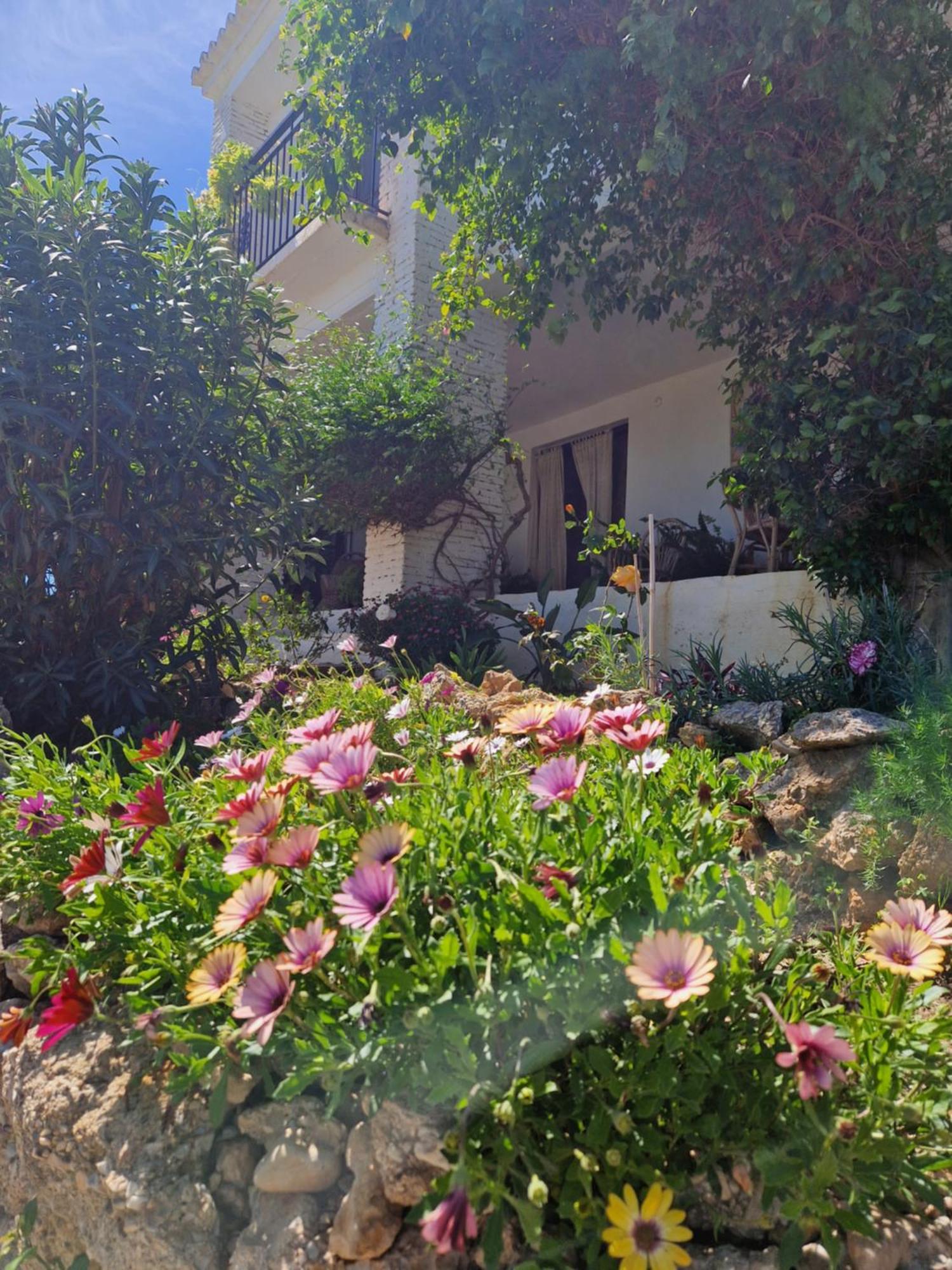Cortijo Nerja Artist Paradise Exteriér fotografie